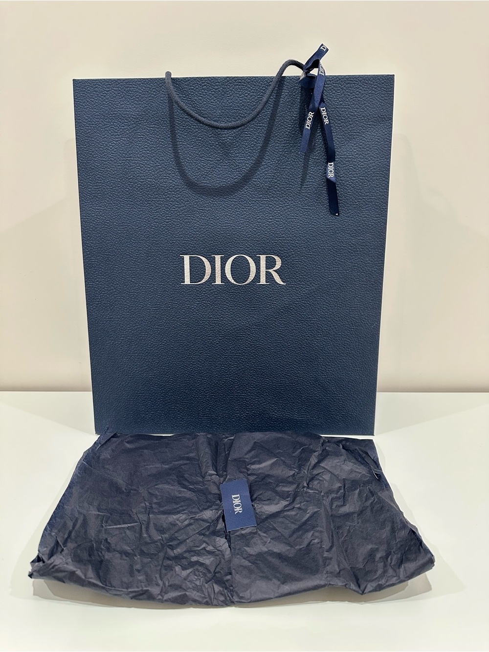 Dior Blue Shopping Paper Bag | Size 15.5x18x6.5 inches